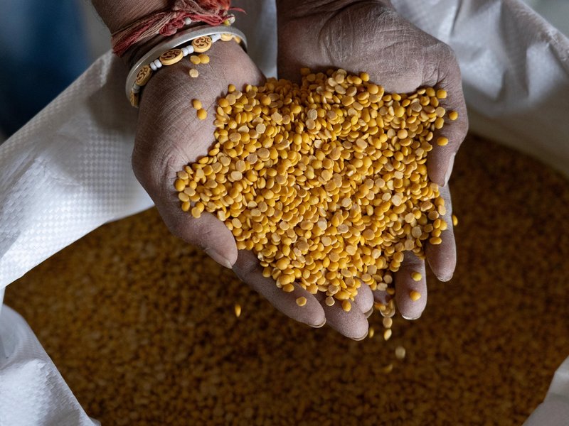 Govt exports Karnataka’s GI-tagged Gulbarga Tur Dal to Maldives, farmers benefit