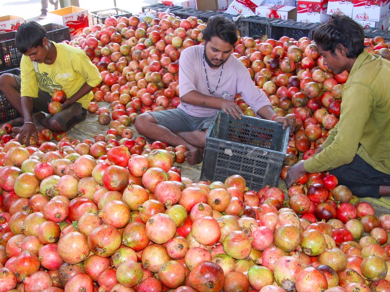ऑनलाइन बिक्री बढ़ने के बावजूद फल-सब्जी कारोबार पर बड़ा असर नहीं, रिटेलर्स का 20 प्रतिशत ट्रेड शिफ्ट: आजादपुर मंडी के पूर्व महासचिव