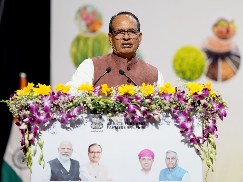 Prepare rabi season strategy based on water availability, not habit: Minister