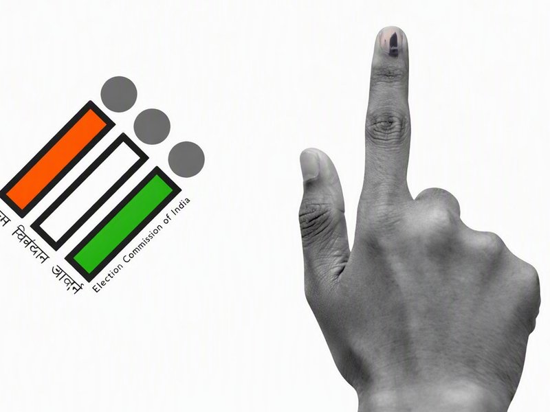 BLOs to visit electors’ homes to collect documents sought in SIR notices: Delhi CEO (Photo: IANS)