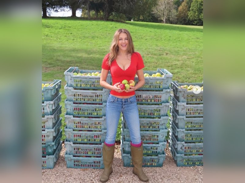 Elizabeth Hurley shares joy of hand-picking apples from her neglected orchard 