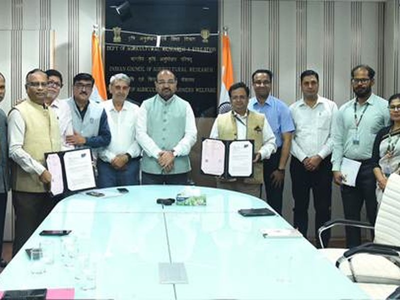 गेहूं-चावल भंडारण में कीट नियंत्रण के लिए आईसीएआर और एफसीआई ने मिलाया हाथ, सुरक्षित तकनीकों पर होगा शोध