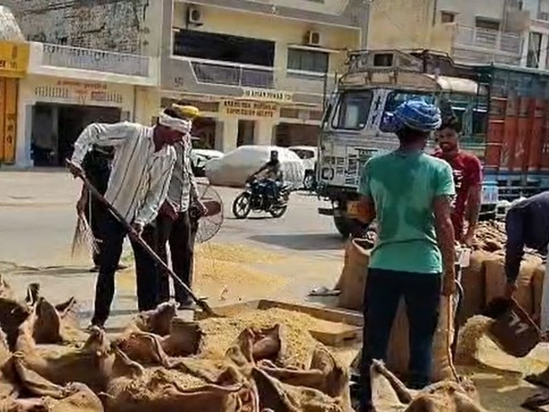 'Will overcome problems caused due to rainfall deficit': Farmers relieved with MSP hike for rabi crops