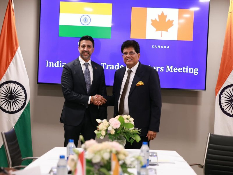 Piyush Goyal pushes trade deals in G20 bilaterals