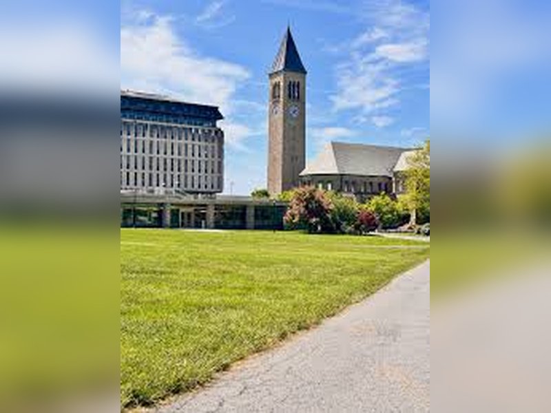 Gang rape at elite university draws attention to rampant sexual assaults on US campuses