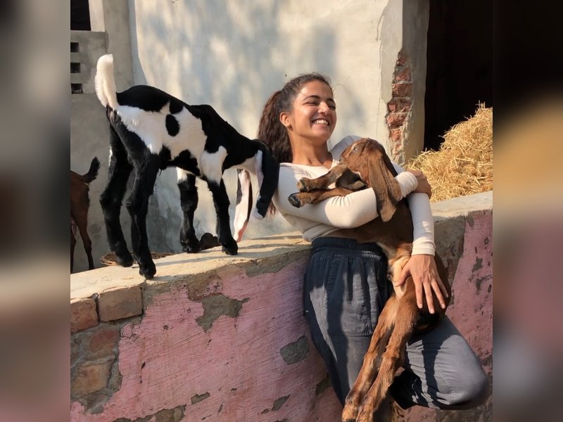 Wamiqa Gabbi urges kindness towards animals: Let’s make this world a little safer