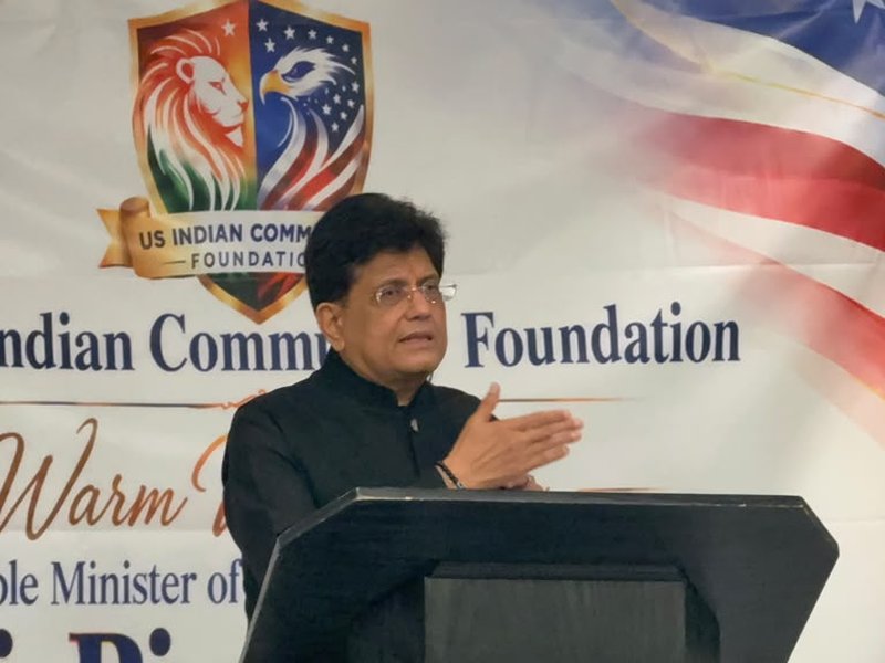 Differences blocked G20 trade outcome: Goyal