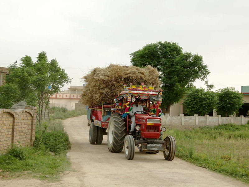 Pakistan needs to modernise agriculture sector to counter food insecurity: Report 