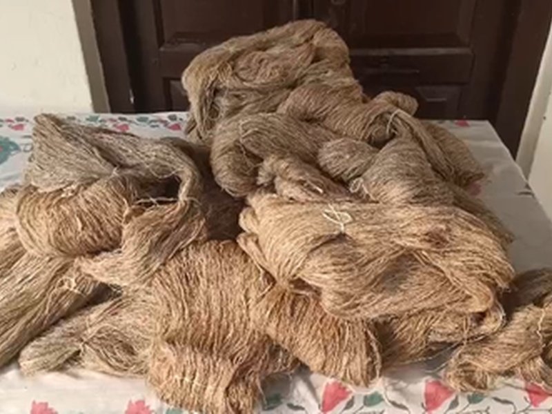 Uttarakhand: Silk yarn spinning generates employment for women members of SHGs in Kumaon