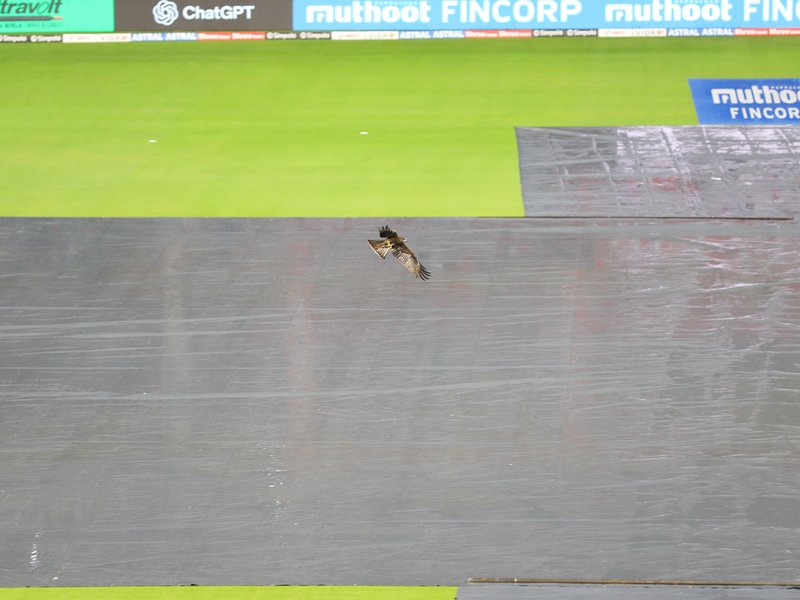 Rain-hit series decider to begin at 9:15 pm, reduced to a nine-overs-a-side affair at the M Chinnaswamy Stadium here on Saturday. Photo credit: IANS