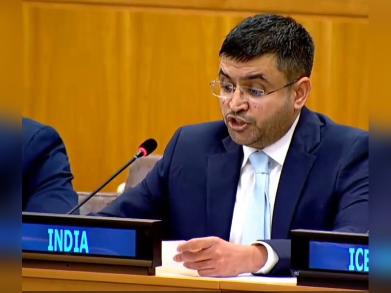 Regrettable, incompetent: India on UN rapporteur falsely projecting Dawood Ibrahim as 'India-based'   