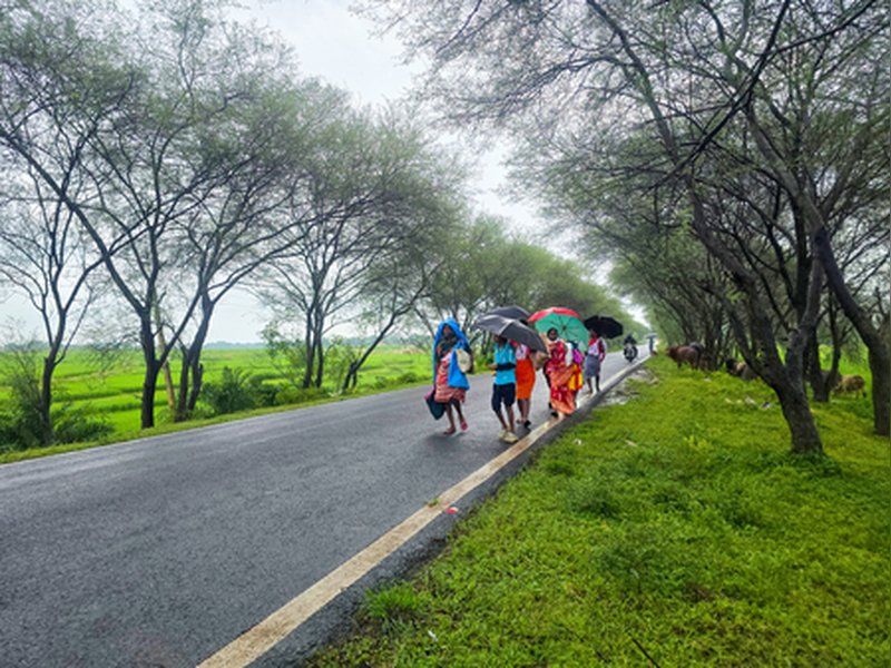 चक्रवात 'अर्नब' का बंगाल पर सीधा असर नहीं, 27 से 30 अक्टूबर तक बारिश के आसार