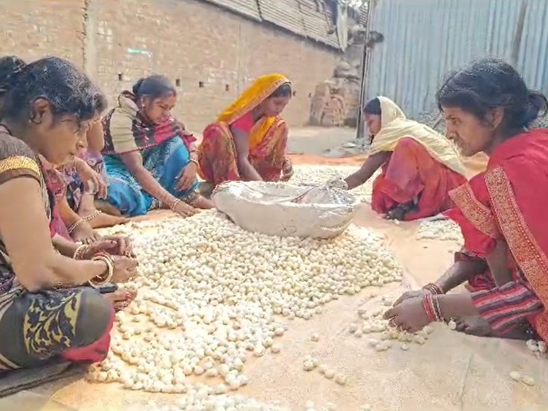 पूर्णिया के व्यापारी बोले-पीएम मोदी के प्रोत्साहन से युवा मखाना की खेती और व्यापार से जुड़ रहे  