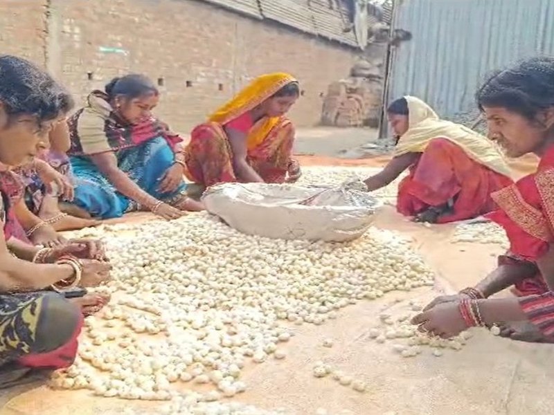 Purnia traders hail PM Modi's inspiring words on makhana, say youth getting drawn towards cultivation