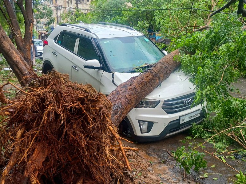 Godavari: Residents remove an uprooted tree following Cyclone Arnab in Godavari district of Andhra Pradesh on Wednesday, October 28, 2026. (Photo: IANS)