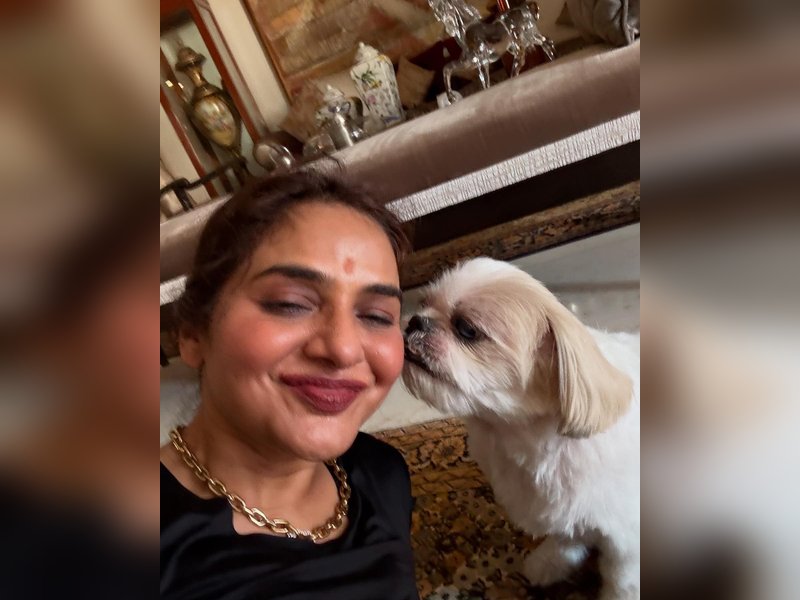 Madhoo urges people to spare animals the trauma of firecrackers this Diwali