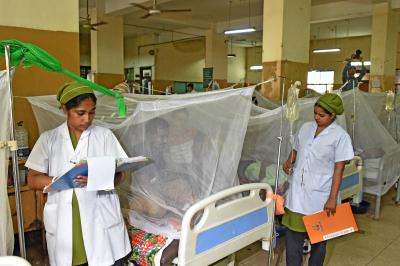 Dengue claims four more lives in Bangladesh, 2025 death toll crosses 290 (File image)