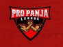 Pro Panja League Season 2 set to begin in Gwalior with six teams eying title in the competition. 