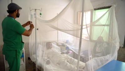 Pakistan: Two more dengue deaths raises Sindh's 2025 toll to 29 (File image)