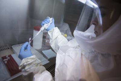 Chinese scientists identify key Ebola virus mutation