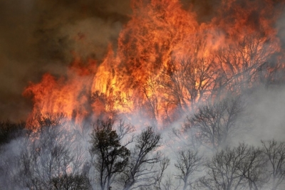 Two killed in helicopter crash fighting wildfire in US state of Utah