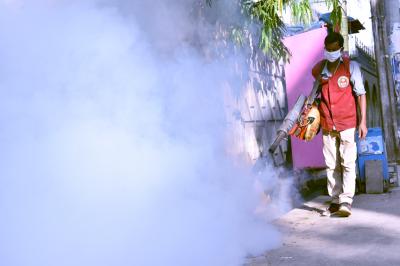 Three more people die of dengue in Bangladesh, 2025 death toll reaches 326 (File image)