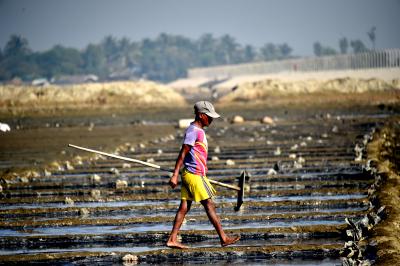 Trade deal with US to hit poor Bangladesh farmers: Expert