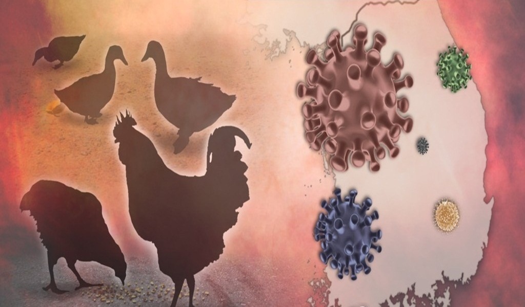 New Study Reveals Challenges of Bird Flu in Humans - Article illustration from IANS LIVE