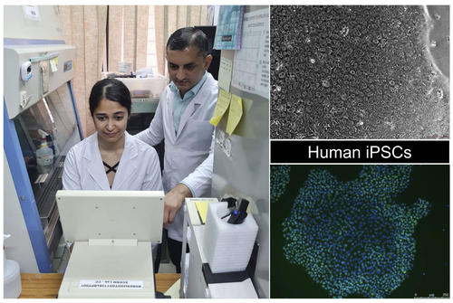 Researchers from IIT Guwahati produce pluripotent stem cells from skin cells
