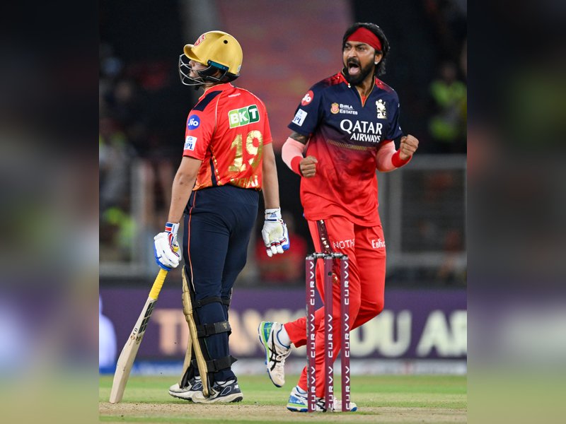 ‘I told RCB on Day 1 that I like to win trophies’: Krunal Pandya after winning IPL 2025 title