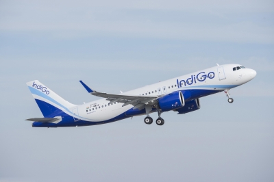 Govt unlikely to renew IndiGo pact with Turkish Airlines (File Photo)