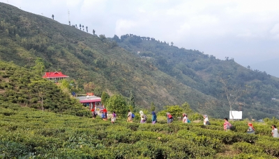 How grassroots innovation can drive India’s economic transformation