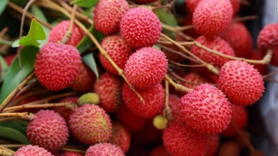 Centre forms expert panel to protect litchi crop in Bihar