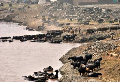Pakistan river contamination crisis grows amid systemic governance failure: Report (File Image)