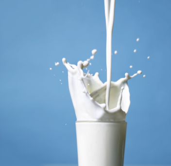 India’s dairy exports record 80 per cent jump in 2024-25