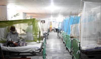 Pakistan: Three more dengue deaths take Sindh's 2025 toll to 36