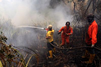 Japan: One person dies, over 170 buildings damaged after fire erupts in Oita Japan: One person dies, over 170 buildings damaged after fire erupts in Oita