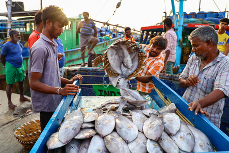 <div>India's seafood exports up 14 pc in April-Oct, shrimp exports to US robust in 5 years</div>