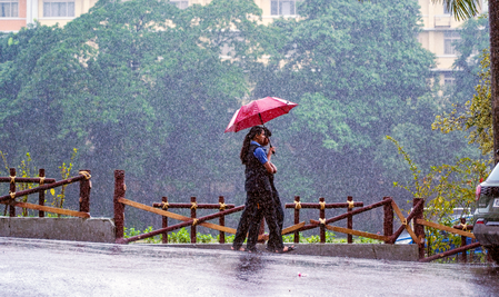 Heavy rain to persist in Kerala; IMD issues yellow alert for multiple districts