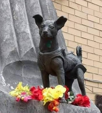 लाइका वह नन्ही नायिका जिसने अंतरिक्ष के खोले द्वार, आज भी दुनिया करती है सलाम