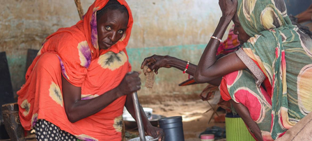 अल फाशेर में आरएसएफ के कब्जे से खौफ यूएन एजेंसी बोली, 36,000 सूडानी इलाका छोड़ भागे