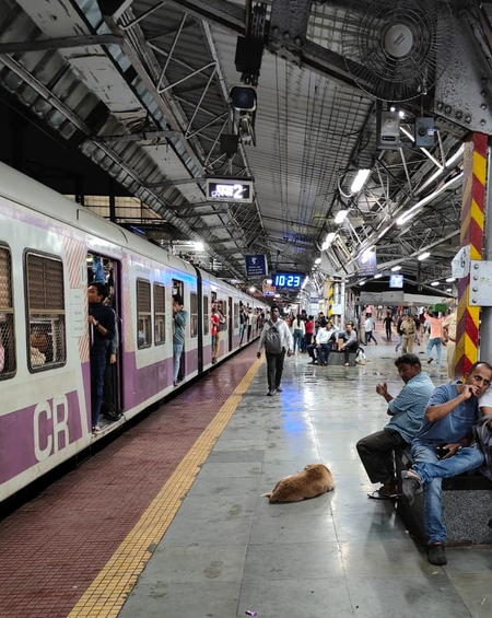 मुंब्रा ट्रेन हादसा 2 इंजीनियरों पर एफआईआर से संघ में आक्रोश, घंटों स्टेशन पर ही खड़ी रहीं ट्रेनें मुंब्रा ट्रेन हादसा 2 इंजीनियरों पर एफआईआर से संघ में आक्रोश, घंटों स्टेशन पर ही खड़ी रहीं ट्रेनें