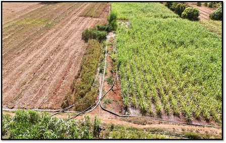 गुजरात लिफ्ट पाइपलाइन तकनीक ने बदली आदिवासी अंचलों की खेती की तस्वीर, 7 सालों में 5115 करोड़ रुपए हुए खर्च गुजरात लिफ्ट पाइपलाइन तकनीक ने बदली आदिवासी अंचलों की खेती की तस्वीर, 7 सालों में 5115 करोड़ रुपए हुए खर्च