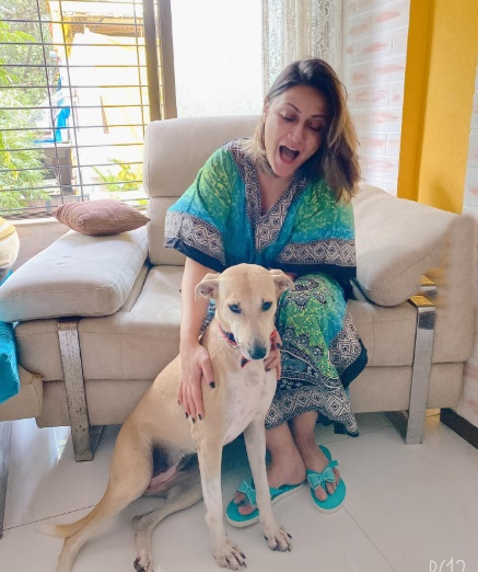 Urvashi Dholakia hits back at trolls questioning her support for stray animals after Supreme Court order Urvashi Dholakia hits back at trolls questioning her support for stray animals after Supreme Court order