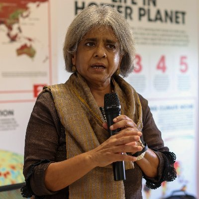 COP30: Developing nations at risk of being left behind in green economy race, says research