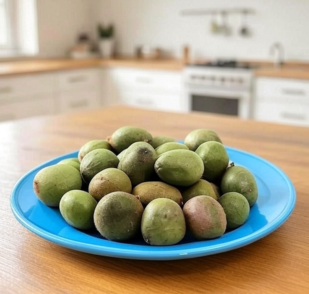 हर समस्या का समाधान है करंजवा बीज, आयुर्वेद से जानें चमत्कारी फायदे