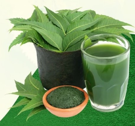 लिवर को डिटॉक्स कर मुहांसो को दूर करता है नीम लिवर को डिटॉक्स कर मुहांसो को दूर करता है नीम