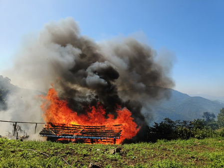 Security forces destroy poppy farms in Manipur, thwart opium production attempt