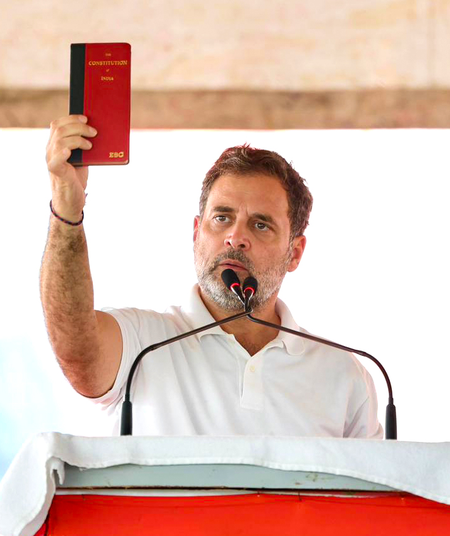 Rahul Gandhi calls Bihar result ‘surprising’, to continue fiercer battle for constitution
