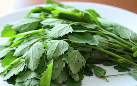 आंतों से लेकर जोड़ों तक, जानिए बथुआ कैसे रखता है शरीर को फिट? आंतों से लेकर जोड़ों तक, जानिए बथुआ कैसे रखता है शरीर को फिट?